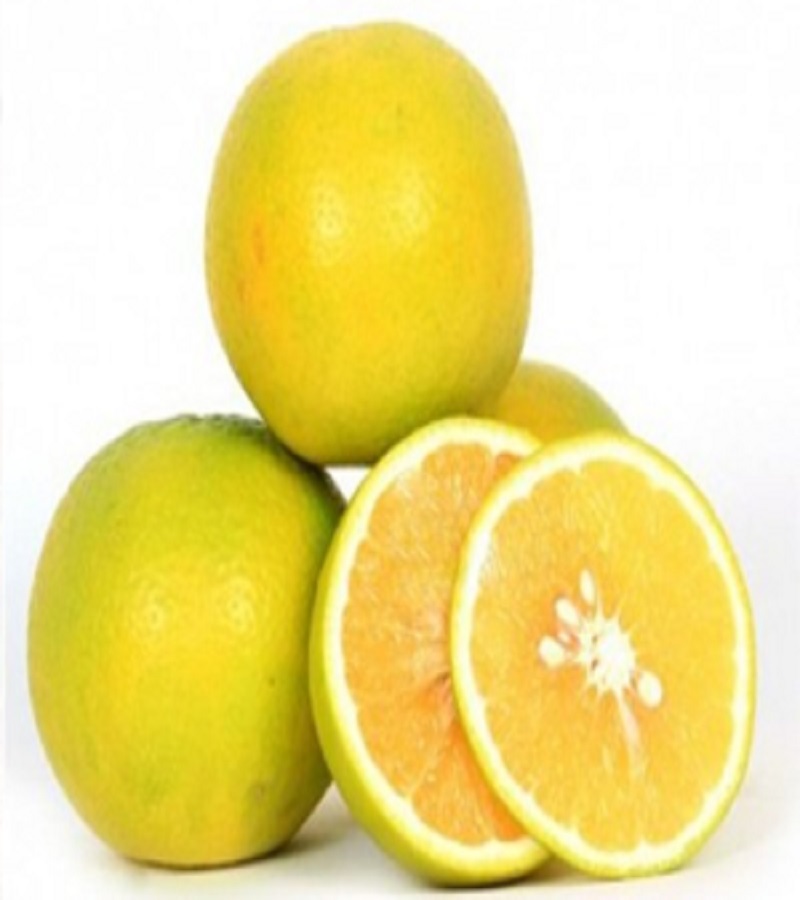 சாத்துக்குடி / Sweet Lime